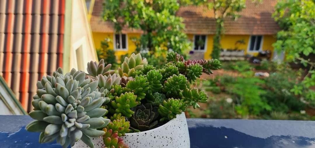 Bo House Hotel Мок Чау Екстериор снимка